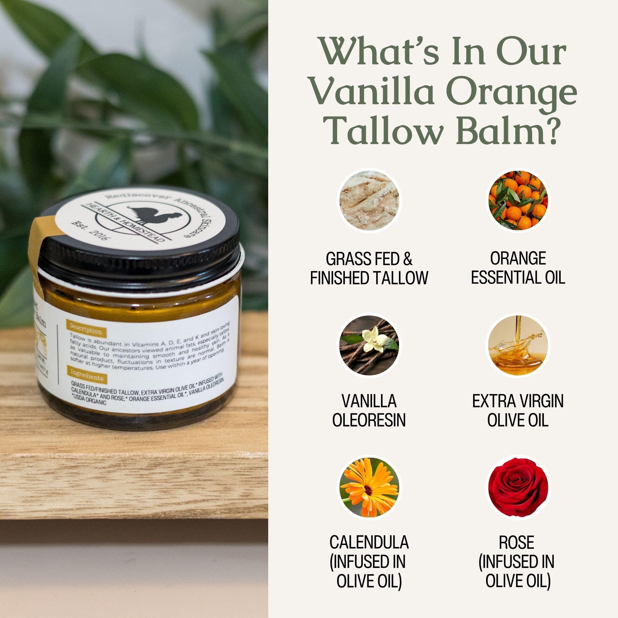Hearth & Homestead Whipped Beef Tallow for Skin & Face - 100% Grass Fed, Eczema Cream & Body Butter, Organic Olive Oil, Calendula & Rose, Lotion & Hand Moisturizer for Dry Skin, Vanilla Orange, 1.3oz